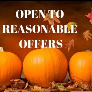 OPEN TO REASONABLE OFFERS OR PUT ITEM OR ITEMS INTO A BUNDLE